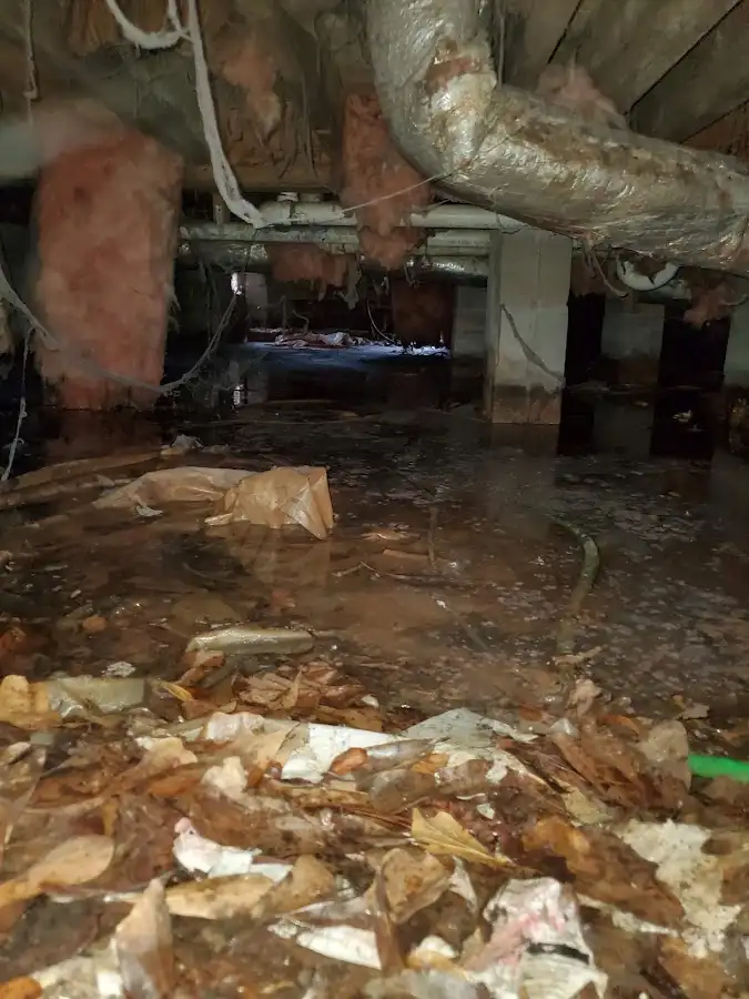 Crawl space flood assessment for Leak Detection & Repair in Marianna
