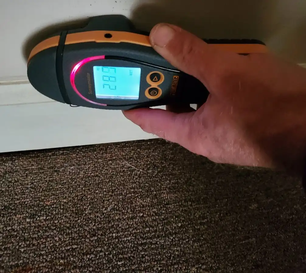 Moisture detection at baseboard during Mold Inspection & Testing in Marianna